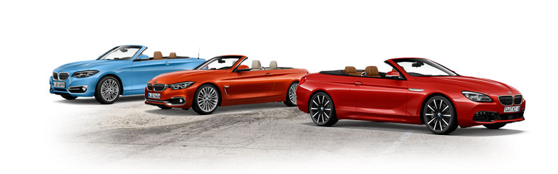 Coches descapotables segunda mano BMW Premium Selection